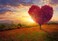 Wonder Forge Tree of Love 1000 Piece Jigsaw Puzzle for Adults   Unique, Perfectly-Fitting Pieces   Fun, Vibrant Imagery   Amazon Exclusive