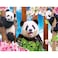 RoseArt - Kodak Premium - Panda Playtime - 100 Piece Jigsaw Puzzle for Adults