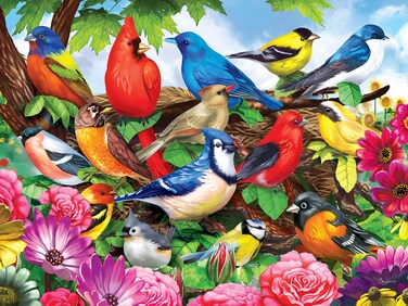 RoseArt - Puzzle Collector - Friendly Birds - 300 XL Piece Jigsaw Puzzle for Adults