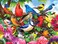 RoseArt - Puzzle Collector - Friendly Birds - 300 XL Piece Jigsaw Puzzle for Adults