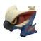 GOOD SMILE COMPANY Monster Hunter: Lucent Naragacuga Chibi Plush
