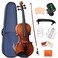 ADM 4/4 Full Size Wood Violin Set for Kids Teens Students Adults Beginner Acoustic Violin Glossy Fiddle Starter Kit with Hard Case, Rosin, Shoulder Rest, Bow, Clip-on Tuner and Fingerboard Sticker