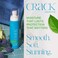 Crack HAIR FIX Mist Spray - Moisturizes &amp; Protects Hair From Dryness &amp; Thermal Damage, Improves Texture - 6 oz
