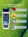 Malki Dead Sea Products Natural Mineral Body Lotion   Hydrating and Moisturizing Lotion   Smooths and Nourishes Dry Skin