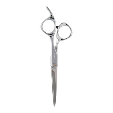 Professional Explore 5.75" Hair Cutting Shears for Wet and Dry Hair, Polished Silver Japanese Steel Scissors with Beveled Blade