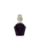 PASSION by Elizabeth Taylor Eau De Toilette Spray 1.5 oz (Women)