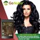 Go Nutra Black Henna Powder Organic 8 oz Natural Black Hair Dye - Black Henna Hair Dye &amp; Beard Dye (226 grams)