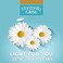 Manzanilla Grisi Chamomile, Styling Hair Gel, Keep your Hairstyle, brighten Naturally, Non-Alcohol Non-Residues 2-Pack of 14 Oz Jars.