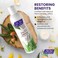 AtOne with Nature Reconstructor Conditioner - Restore and Strengthen Hair with Rosemary Extracts, Shea Butter, and Argan Oil - 8 Fl. Oz