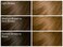 SoftSheen-Carson Dark and Lovely Fade Resist Rich Conditioning Hair Color, Permanent Hair Color, Up To 100 percent Gray Coverage, Brilliant Shine with Argan Oil and Vitamin E, Golden Bronze