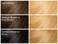 SoftSheen-Carson Dark and Lovely Fade Resist Rich Conditioning Hair Color, Permanent Hair Color, Up To 100 percent Gray Coverage, Brilliant Shine with Argan Oil and Vitamin E, Luminous Blonde, 2 Count