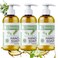 Brittanie's Thyme Basics Natural Olive Oil Hand Soap, Lemongrass Tea Tree - 12 fl oz, Pack of 3 - Cruelty Free, Vegan, No Synthetic Additives, No Sulfates, Paraben Free, Phthalate Free