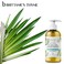 Brittanie's Thyme Organic Natural Hand Soap - 12 oz, Pack of 3 (Lemongrass) Castile Soap Made Olive Oil And Natural Luxurious Essential Oils. Vegan &amp; Gluten Free
