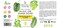 Brittanie's Thyme Natural Castile Olive Oil Hand Soap - 12 oz, Pack of 3 (Bergamot &amp; Lime) - Castile Soap Made Olive Oil, Natural Luxurious Essential Oils &amp; Vitamin E. Vegan &amp; Gluten Free