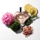 Bebe Luxe Eau de Parfum Spray for Woman - Long Lasting Floral Womens Fragrances - Notes of Mango, Rose, Jasmine, Peony, Vanilla Perfume for Women - 3.4 oz