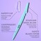 Expressions 6pc Face &amp; Body Razors - 6-Pack Premium Professional Disposable Razors for Smooth, Flawless Skin Dermaplaning Tool, Face &amp; Eyebrow Razor