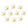 Women's Hawaiian Plumeria Flower Hair Clip Wedding Bridal Hairpin Barrette Hair Accessories - 10 Pieces