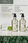 TheMogan True.LAB Cica Ceramide Shampoo 285ml ? Soothing &amp; Hydrating Formula with Centella Asiatica, Ceramides, and Natural Oils for Healthy Scalp and Hair