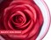 3D petal rose makeup blush gift highlighter Rare beauty blush rubor forma de rosa real rose flower red blush (Red Rose)