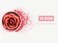 3D petal rose makeup blush gift highlighter Rare beauty blush rubor forma de rosa real rose flower red blush (Pink)