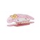Bioworld My Melody Character Hair Clip-OSFA, 1 Count (Pack of 1), Pink