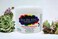 Skin Be Well Natural Moisturizing Cream, Citrus Mint (8 oz)