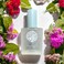 RŌZ Santa Lucia Styling Oil - Lightweight, Nourishing Hair Oil, a Foundation for Daily Styling, Frizz Control and Shine - Heat Protectant, Vegan, for All Hair Types - 2 Fl.Oz / 60 ml