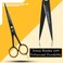 Professional Hair Scissors 5.5 Inches High-Carbon Stainless Steel Beard, Mustache, and Barber Scissors for Home and Saloon Carrying a Faux Leather Pouch in Matt Black by ACTIVEINN, Sharp Razor Edge