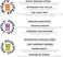 Shower Steamers Aromatherapy 24 Pack - Galentines, Valentines Day Gift for Her and Him, Birthday Gifts for Mom, Best Friend, Travel Essentials, Stress Relief, Self Care - Eucaclyptus, Lavender, Citrus