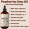 Emu Oil, 100% Pure Australian Emu Oil - Refined Natural Oil for Hair Growth, Natural Skin Moisturizer, Hydrating Face &amp; Body Oil, Massage Oil for Scars &amp; Dry Skin - Unscented, 4 fl oz Glass Bottle