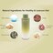 Aeterna VITA Intense Repair Keratin Shampoo for Dry Damaged Hair   Thyme, Ginseng Root Extract   Color-Safe - 250 ml