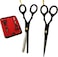 Professional Hair Cutting Scissors - Krisp Shave Stainless Steel Salon Barber Thinning Scissor (6 Inch) - Shears for Men's Beard Mustache Women Kids Pets Haircut All Purpose Shear Kit/Set, KSP-785