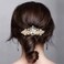 Lawie 6 Pack Fancy Delicate Jeweled Gems Rhinestone Sparkly Glitter Flower French Barrette Metal Hair Clips Bun Chignon Twist Hairpins Ponytail Holder Headpiece Accessories for Women Girl