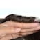 Q6 Base Custom Mens Toupee Hairpiece Human Indian Hair Replacement System Prosthesis Wigs - #1B60(Off Black with 60% Gray Hair)