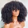Afro Kinky Curly Wig With Bangs Full Machine Made Scalp Top Wig 200 Density Brazilian Short Curly Human Hair Wigs Natural Color 22 Inch