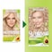 Garnier Hair Color Nutrisse Nourishing Creme, 111 Extra-Light Ash Blonde (White Chocolate) Permanent Hair Dye, 2 Count (Packaging May Vary)