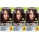 Garnier Hair Color Nutrisse Ultra Coverage Nourishing Creme, 400 Deep Dark Brown (Sweet Pecan) Permanent Hair Dye, 3 Count (Packaging May Vary)
