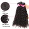 ALI JULIA Hair 10A Malaysian Virgin Curly Hair One Bundle Deal Unprocessed Human Hair Weft Extensions Natural Color (24inch)