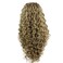 Mxangel Long Heat Resistant Synthetic Hair Celebrity Ash Blond Curly Lace Front Wig