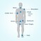 Body Glide Original Anti Chafe Balm   No Chafing Stick   Prevent Arm, Chest, Butt, Thigh, Ball Chafing &amp; Irritation   Trusted Skin Protection Since 1996  1.5oz
