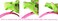 Q-YO Craft Plastic Headbands - No Teeth, DIY Hair Accessories (30pc 3/8" (12mm))