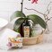 Liquid Soap, Shea Butter Enriched (12 oz), No. 6 - Fig, Orange Blossom &amp; Cedarwood
