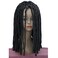 Lydell Twist Hair Crotchet Braids Wigs Synthetic Dreadlocks Braids Hair Wig (Black)