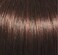 GABOR Let's Lambada Short Wavy Boycut Wig by Hairuwear, 2023 Spring Luxury Collection, Average Cap, GL6-30 Mahogany
