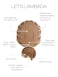 GABOR Let's Lambada Short Wavy Boycut Wig by Hairuwear, 2023 Spring Luxury Collection, Average Cap, GL6-30 Mahogany