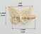 Butterfly Hair Clips,12 Pcs Cute Metal Butterfly Hair Claw Pins Barrettes Accessories Hollow Butterfly Hairpins for Women Girls Weddings Bride (Gold)