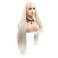 SN Afro America Long Braided Wigs With Baby Hair (White Blonde)