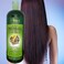 HERBAL Supreme Shampoo 33.8 fl oz Cacahuananche, Rosemary, Aloe, Neem, Horsetail, Nettle, Tepezcohuite &amp; Natural Herbs (Cacahuananche, Romero, Savila, Neem, Cola caballo, Ortiga, Tepezcohuite)