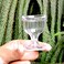 Ancient Impex Eye Wash Cup Set Of 2 - Soothing Relief From Allergens, Irritants, Makeup, Dust, Dry Eyes