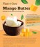 Mango Body Butter 8 oz. 100% Pure Raw Fresh Natural Cold Pressed. Skin Body and Hair Growth, DIY Creams, Balms, Lotions, Soaps.